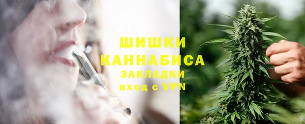 сатива Балабаново